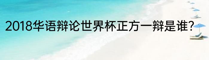 2018华语辩论世界杯正方一辩是谁？