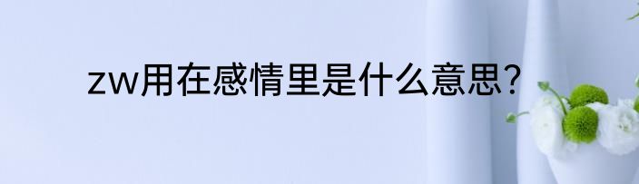 zw用在感情里是什么意思？