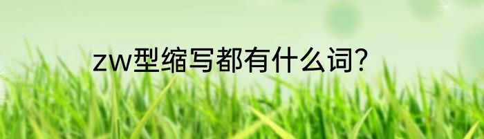 zw型缩写都有什么词？