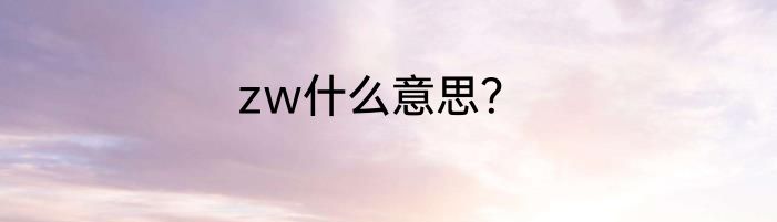 zw什么意思？