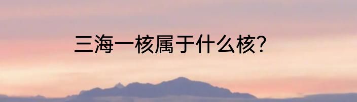 三海一核属于什么核？