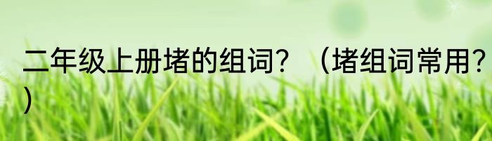 二年级上册堵的组词？（堵组词常用？）