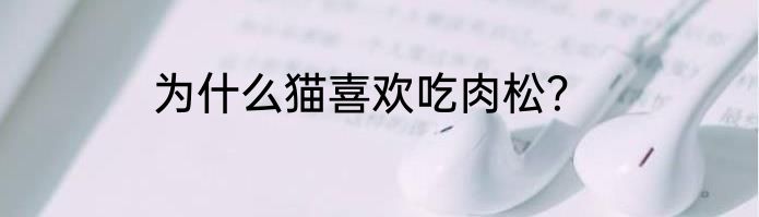 为什么猫喜欢吃肉松？