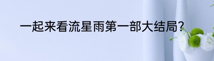 一起来看流星雨第一部大结局？