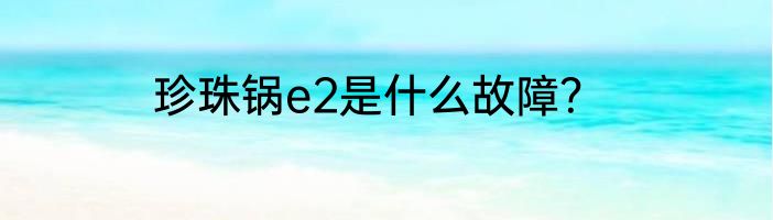 珍珠锅e2是什么故障？