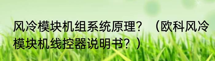 风冷模块机组系统原理？（欧科风冷模块机线控器说明书？）