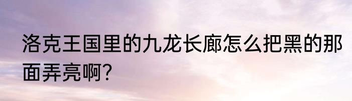 洛克王国里的九龙长廊怎么把黑的那面弄亮啊？