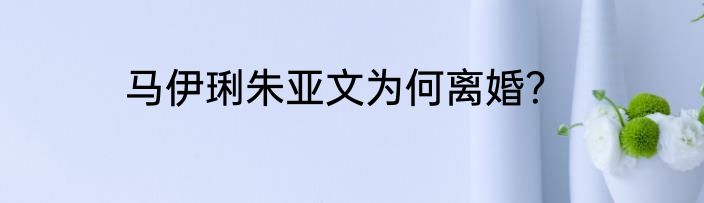 马伊琍朱亚文为何离婚？