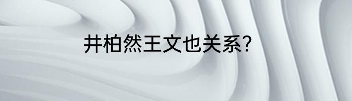 井柏然王文也关系？