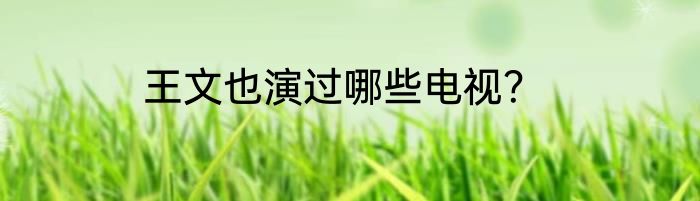 王文也演过哪些电视？
