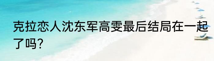 克拉恋人沈东军高雯最后结局在一起了吗？
