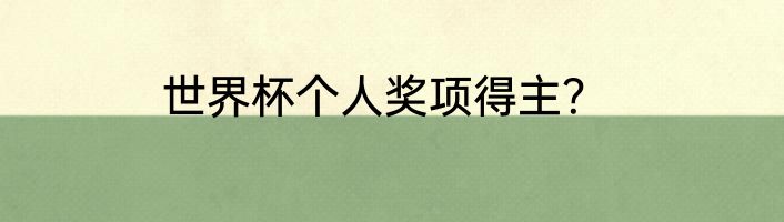 世界杯个人奖项得主？