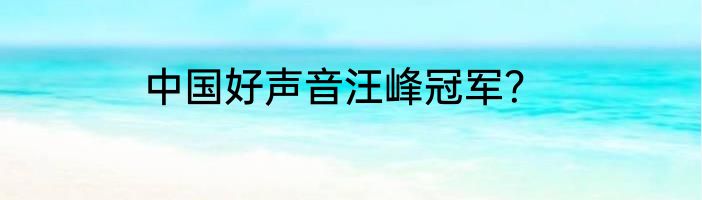 中国好声音汪峰冠军？