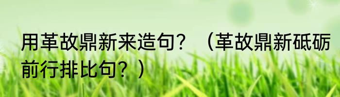 用革故鼎新来造句？（革故鼎新砥砺前行排比句？）