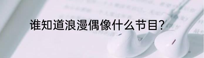 谁知道浪漫偶像什么节目？