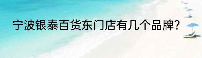 宁波银泰百货东门店有几个品牌？