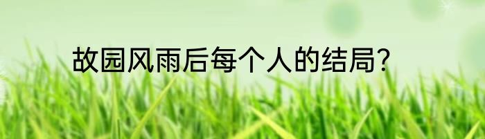 故园风雨后每个人的结局？