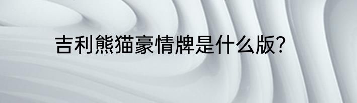 吉利熊猫豪情牌是什么版？