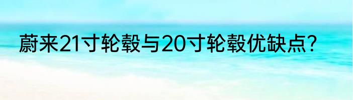 蔚来21寸轮毂与20寸轮毂优缺点？