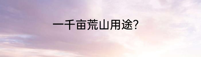 一千亩荒山用途？