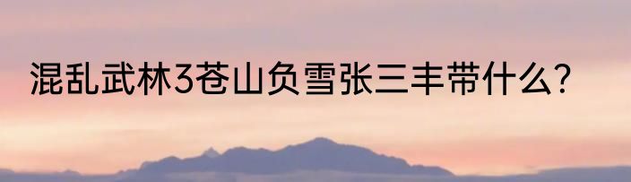 混乱武林3苍山负雪张三丰带什么？