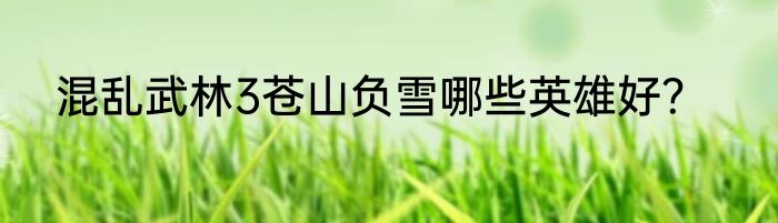 混乱武林3苍山负雪哪些英雄好？