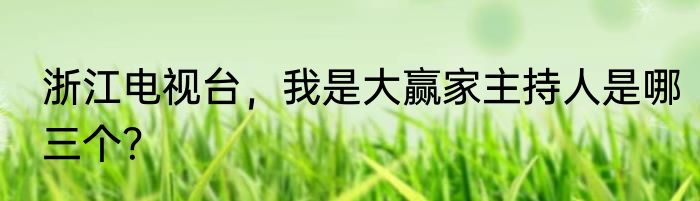浙江电视台，我是大赢家主持人是哪三个？