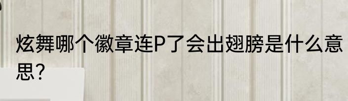 炫舞哪个徽章连P了会出翅膀是什么意思？