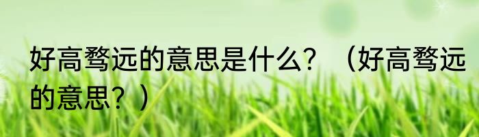 好高骛远的意思是什么？（好高骛远的意思？）