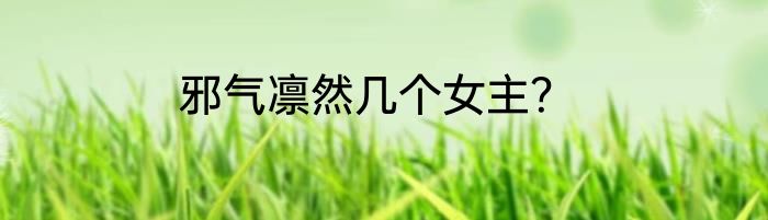 邪气凛然几个女主？