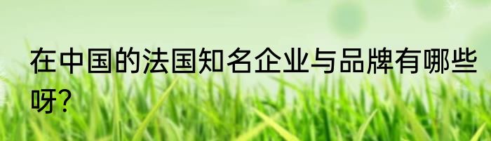 在中国的法国知名企业与品牌有哪些呀？