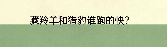 藏羚羊和猎豹谁跑的快？