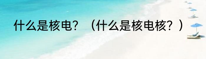 什么是核电？（什么是核电核？）