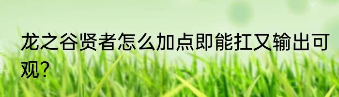 龙之谷贤者怎么加点即能扛又输出可观？