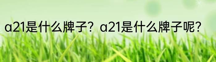 a21是什么牌子？a21是什么牌子呢？