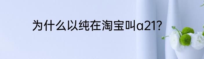为什么以纯在淘宝叫a21？