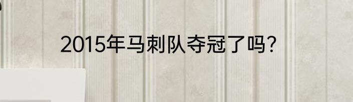 2015年马刺队夺冠了吗？