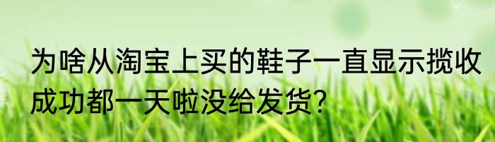 为啥从淘宝上买的鞋子一直显示揽收成功都一天啦没给发货？