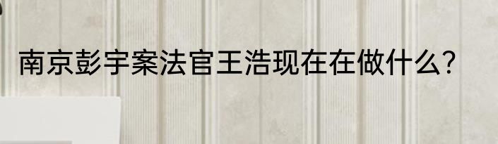 南京彭宇案法官王浩现在在做什么？