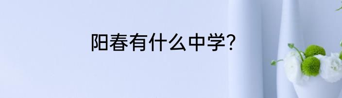 阳春有什么中学？