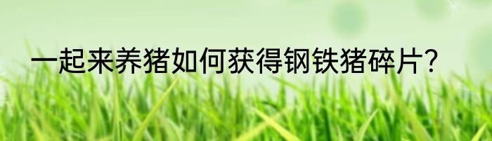 一起来养猪如何获得钢铁猪碎片？