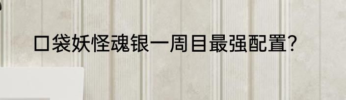 口袋妖怪魂银一周目最强配置？