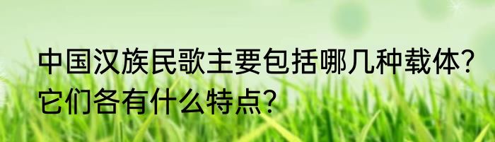 中国汉族民歌主要包括哪几种载体？它们各有什么特点？