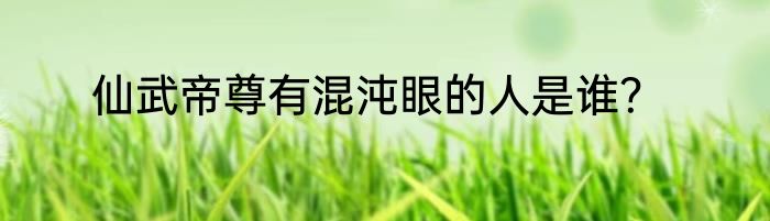 仙武帝尊有混沌眼的人是谁？