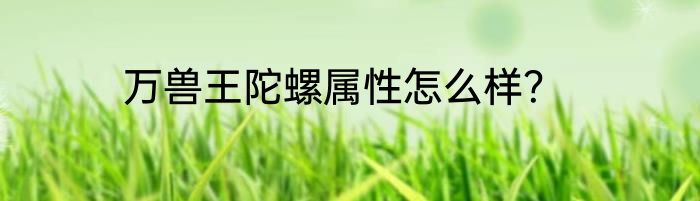 万兽王陀螺属性怎么样？