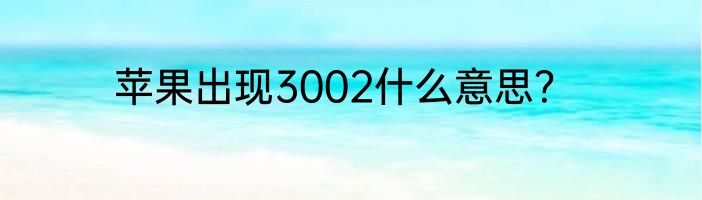 苹果出现3002什么意思？
