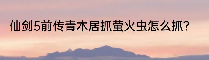 仙剑5前传青木居抓萤火虫怎么抓？