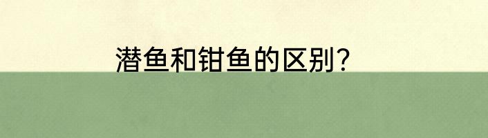潜鱼和钳鱼的区别？