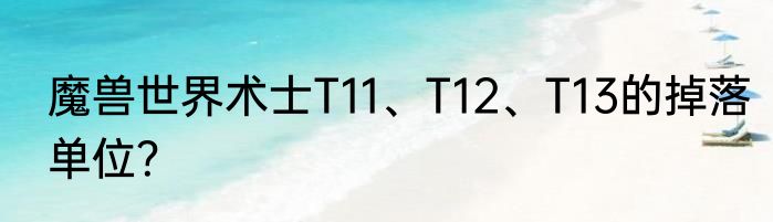 魔兽世界术士T11、T12、T13的掉落单位？