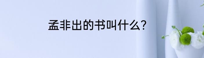 孟非出的书叫什么？